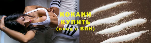 PSILOCYBIN Зерноград