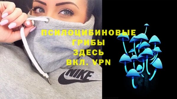 PSILOCYBIN Зерноград