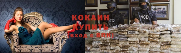 Альфа ПВП Зеленокумск